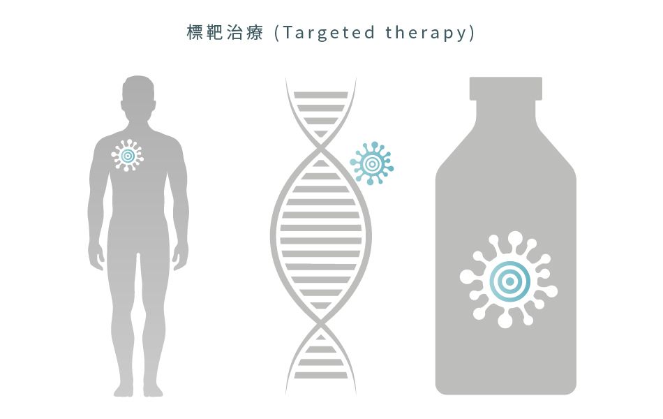 標靶治療 (Targeted therapy) 適用於治療已擴散的大腸癌