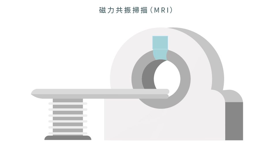 磁力共振掃描 (MRI) 有助識別腦部不尋常的區域