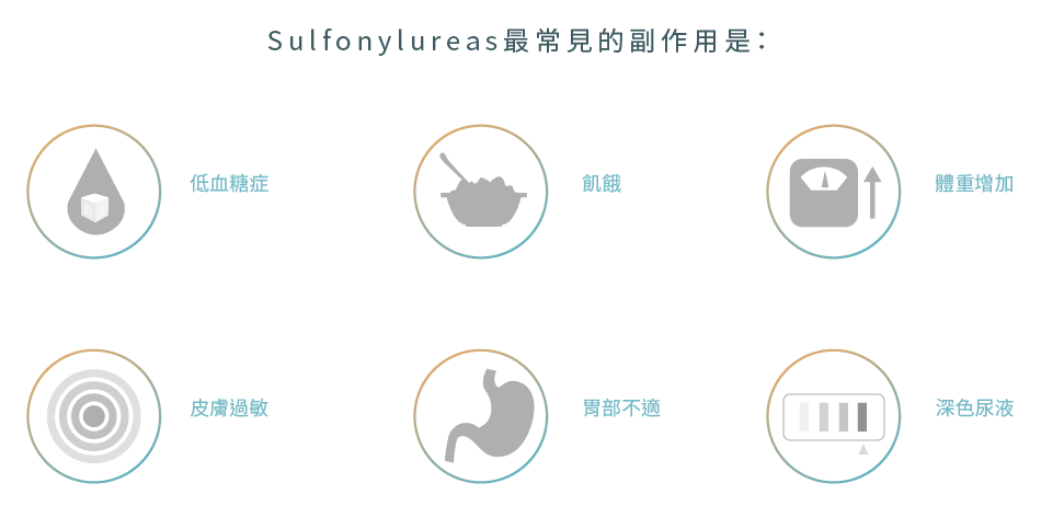 磺脲類藥物 (Sulfonylureas) 最常見的副作用